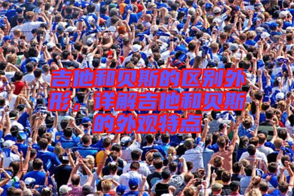 吉他和貝斯的區(qū)別外形，詳解吉他和貝斯的外觀特點