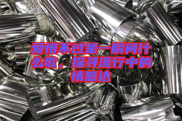 愛恨不過是一瞬間什么歌，探尋流行中的情感達(dá)