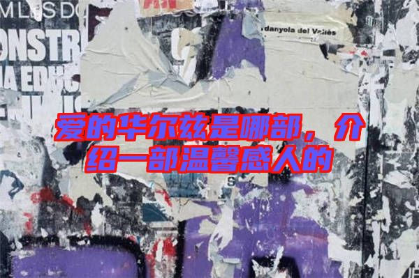愛的華爾茲是哪部，介紹一部溫馨感人的