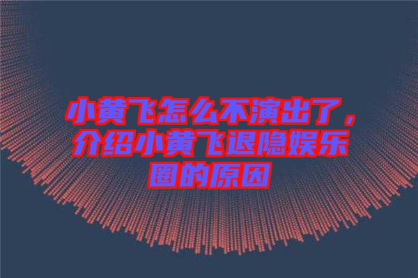小黃飛怎么不演出了，介紹小黃飛退隱娛樂圈的原因