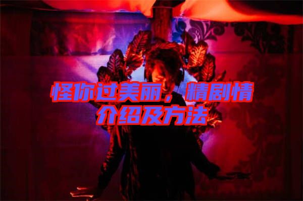 怪你過美麗，精劇情介紹及方法