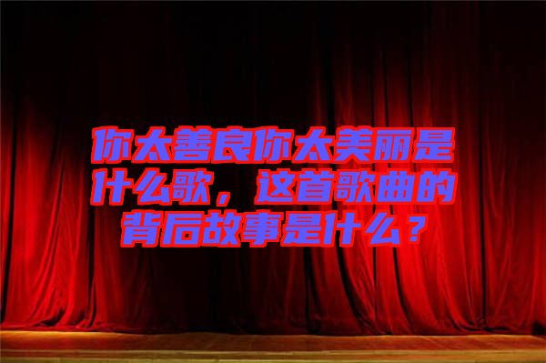 你太善良你太美麗是什么歌，這首歌曲的背后故事是什么？