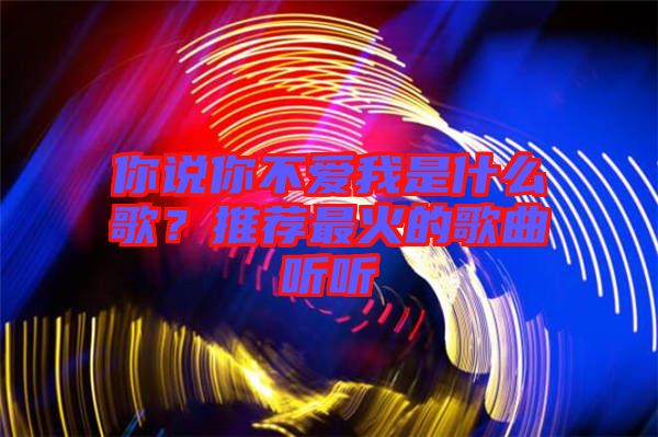 你說你不愛我是什么歌？推薦最火的歌曲聽聽