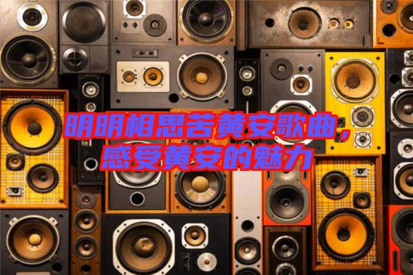 明明相思苦黃安歌曲，感受黃安的魅力