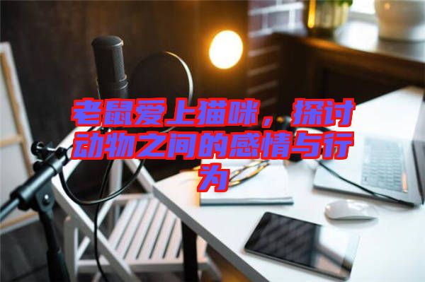 老鼠愛(ài)上貓咪，探討動(dòng)物之間的感情與行為