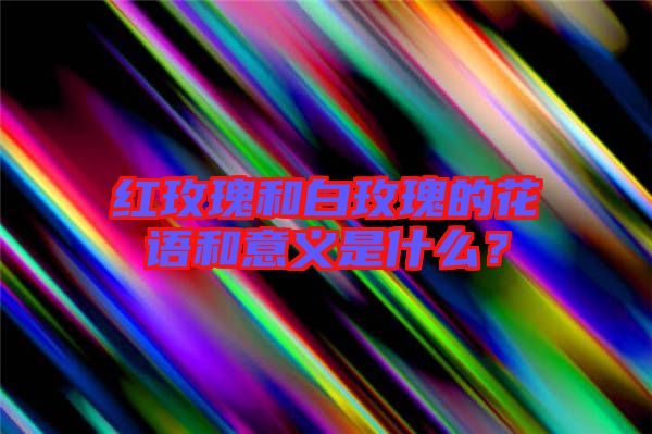 紅玫瑰和白玫瑰的花語和意義是什么？