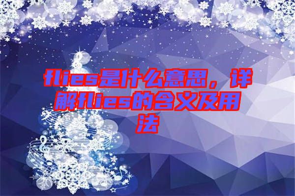 flies是什么意思，詳解flies的含義及用法