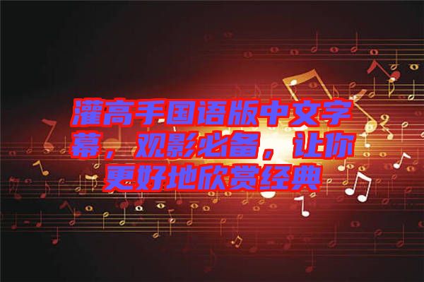 灌高手國語版中文字幕，觀影必備，讓你更好地欣賞經(jīng)典