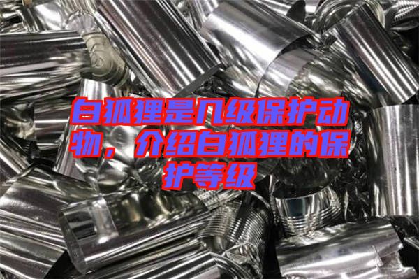 白狐貍是幾級保護動物，介紹白狐貍的保護等級