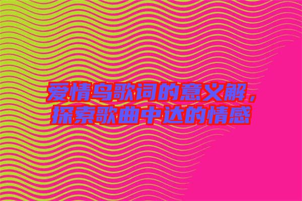 愛情鳥歌詞的意義解，探索歌曲中達(dá)的情感