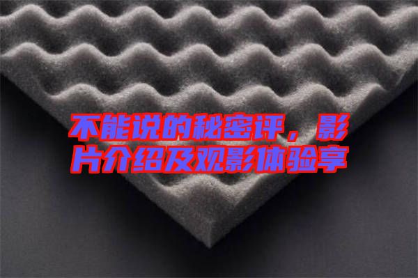 不能說的秘密評，影片介紹及觀影體驗享