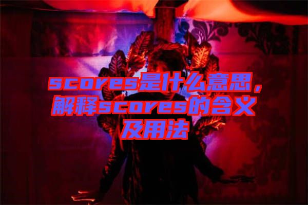 scores是什么意思，解釋scores的含義及用法