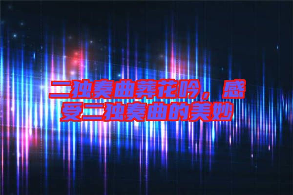二獨奏曲葬花吟，感受二獨奏曲的美妙