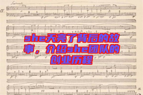 she天亮了背后的故事，介紹she團(tuán)隊(duì)的創(chuàng)業(yè)歷程