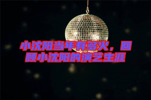 小沈陽當(dāng)年有多火，回顧小沈陽的演藝生涯