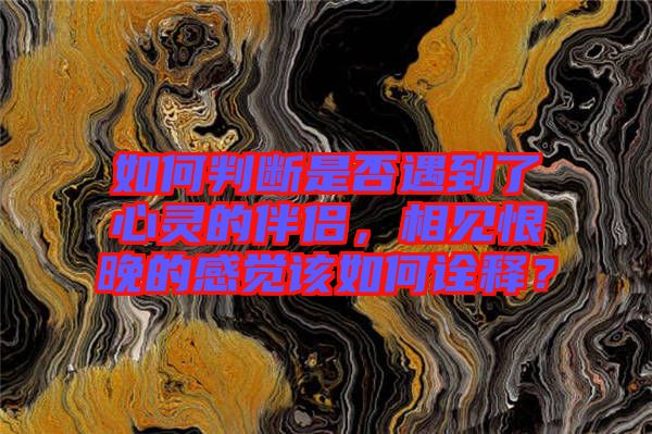 如何判斷是否遇到了心靈的伴侶，相見恨晚的感覺該如何詮釋？