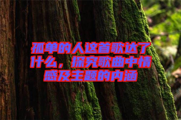 孤單的人這首歌達(dá)了什么，探究歌曲中情感及主題的內(nèi)涵