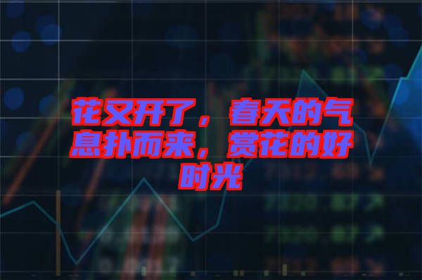 花又開了，春天的氣息撲而來，賞花的好時(shí)光