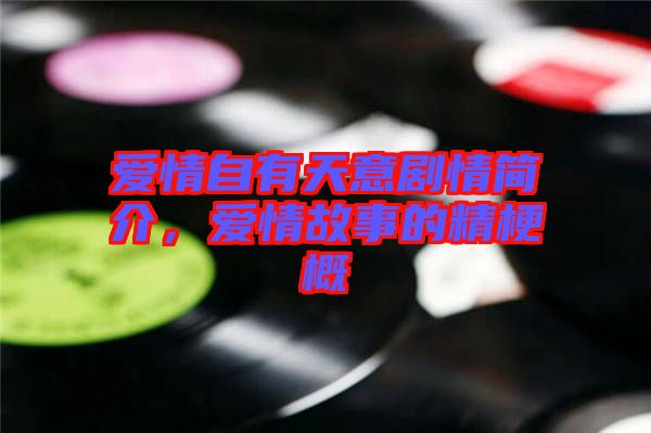 愛情自有天意劇情簡(jiǎn)介，愛情故事的精梗概