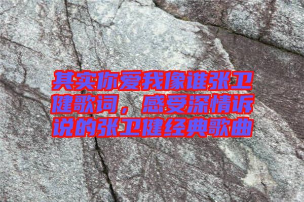 其實(shí)你愛我像誰張衛(wèi)健歌詞，感受深情訴說的張衛(wèi)健經(jīng)典歌曲