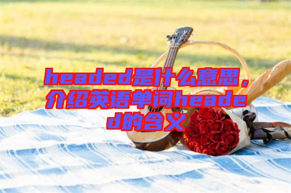 headed是什么意思，介紹英語單詞headed的含義