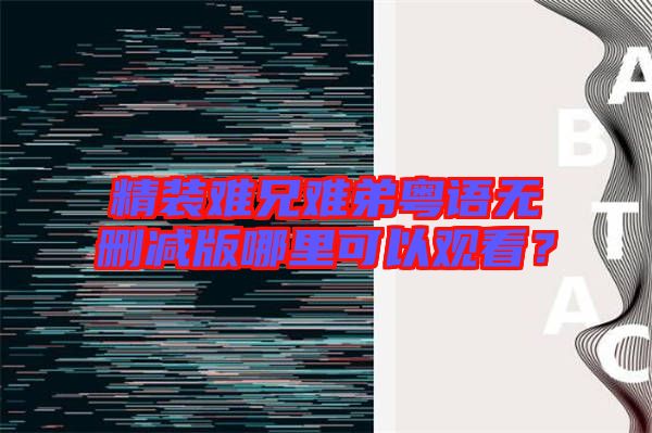 精裝難兄難弟粵語(yǔ)無(wú)刪減版哪里可以觀看？