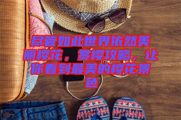 盡管如此世界依然美麗櫻花，賞櫻攻略，讓你看到最美的櫻花景色