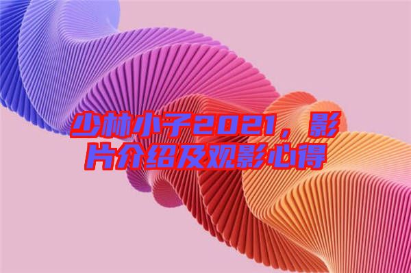 少林小子2021，影片介紹及觀(guān)影心得
