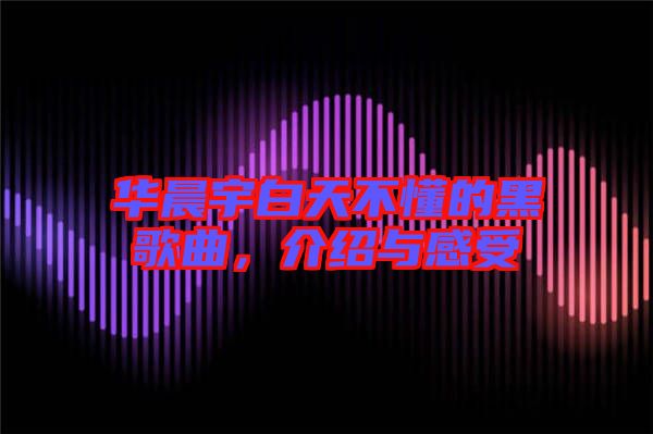 華晨宇白天不懂的黑歌曲，介紹與感受