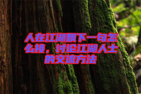 人在江湖飄下一句怎么接，討論江湖人士的交流方法