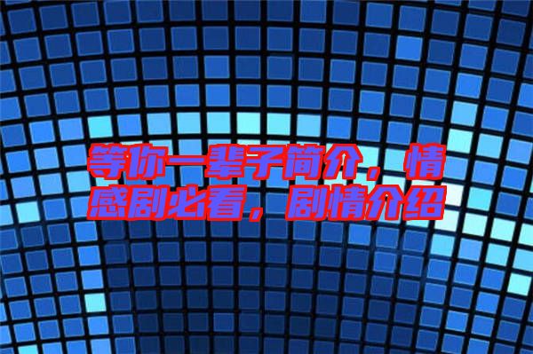 等你一輩子簡(jiǎn)介，情感劇必看，劇情介紹