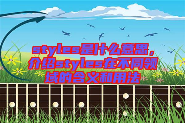 styles是什么意思，介紹styles在不同領(lǐng)域的含義和用法