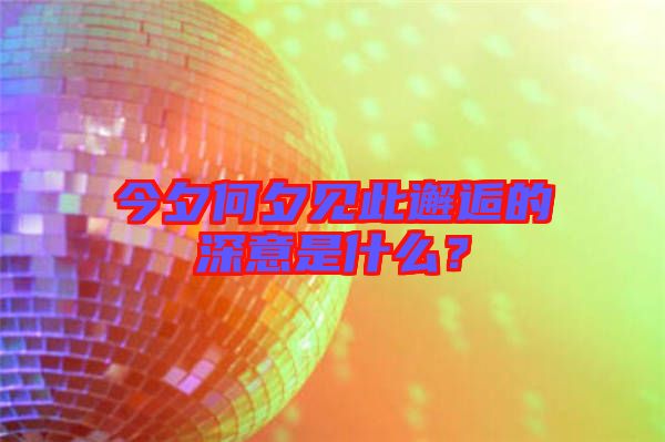 今夕何夕見此邂逅的深意是什么？