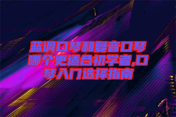 藍調(diào)口琴和復(fù)音口琴哪個更適合初學者,口琴入門選擇指南