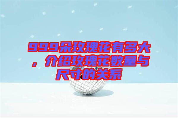 999朵玫瑰花有多大，介紹玫瑰花數(shù)量與尺寸的關(guān)系