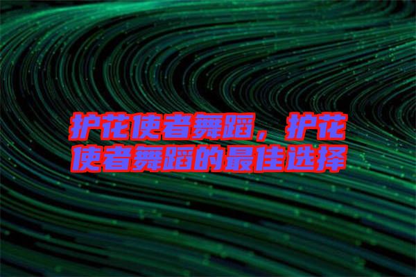 護(hù)花使者舞蹈，護(hù)花使者舞蹈的最佳選擇