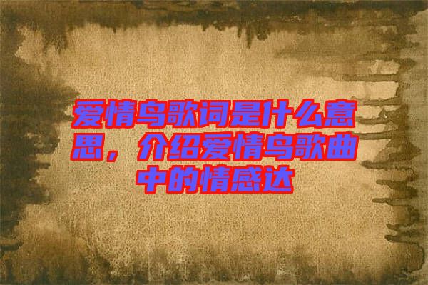 愛情鳥歌詞是什么意思，介紹愛情鳥歌曲中的情感達(dá)