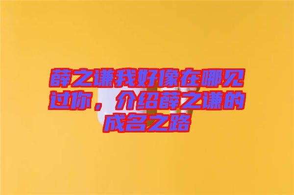 薛之謙我好像在哪見(jiàn)過(guò)你，介紹薛之謙的成名之路