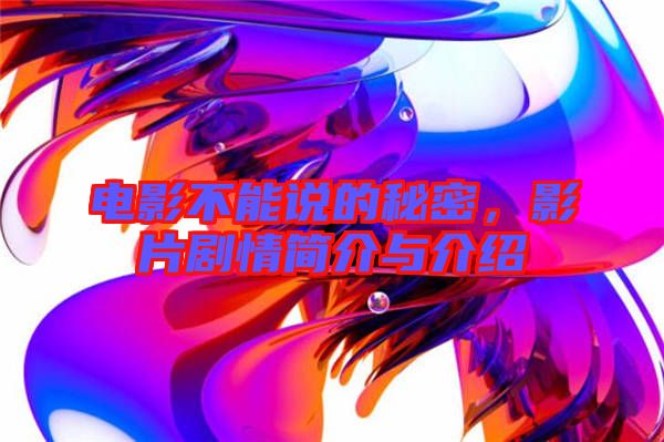 電影不能說的秘密，影片劇情簡介與介紹