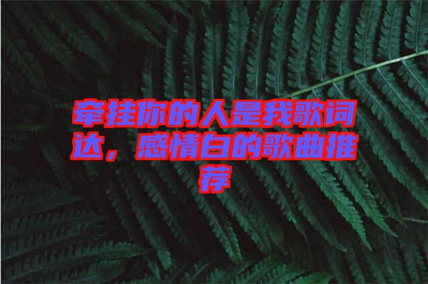 牽掛你的人是我歌詞達，感情白的歌曲推薦