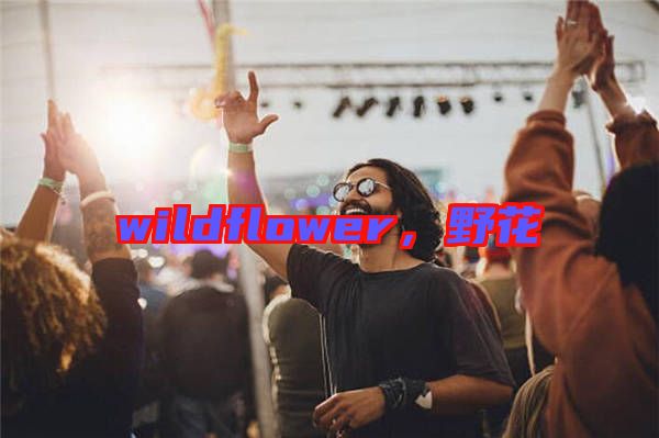 wildflower，野花