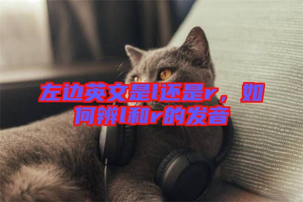 左邊英文是l還是r，如何辨l和r的發(fā)音