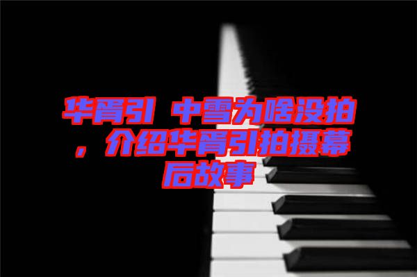 華胥引柸中雪為啥沒(méi)拍，介紹華胥引拍攝幕后故事