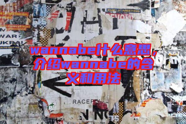 wannabe什么意思，介紹wannabe的含義和用法