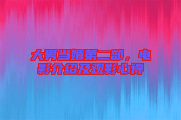 大男當(dāng)婚第二部，電影介紹及觀影心得