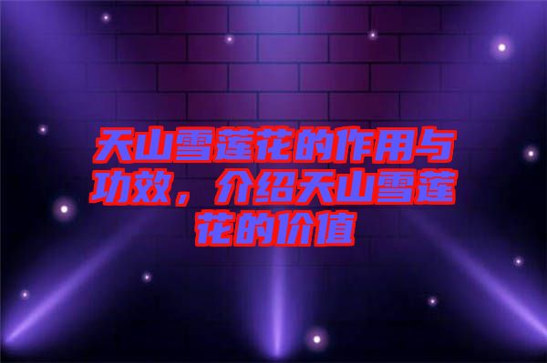 天山雪蓮花的作用與功效，介紹天山雪蓮花的價值