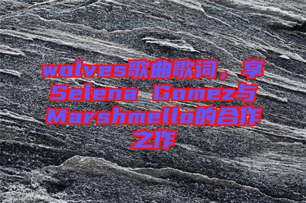 wolves歌曲歌詞，享Selena Gomez與Marshmello的合作之作