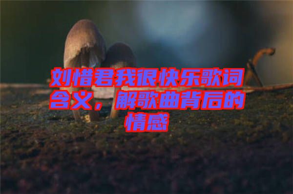 劉惜君我很快樂(lè)歌詞含義，解歌曲背后的情感