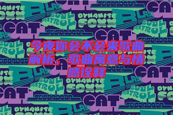 今夜你會(huì)不會(huì)來(lái)歌曲解析，歌曲寓意與情感詮釋