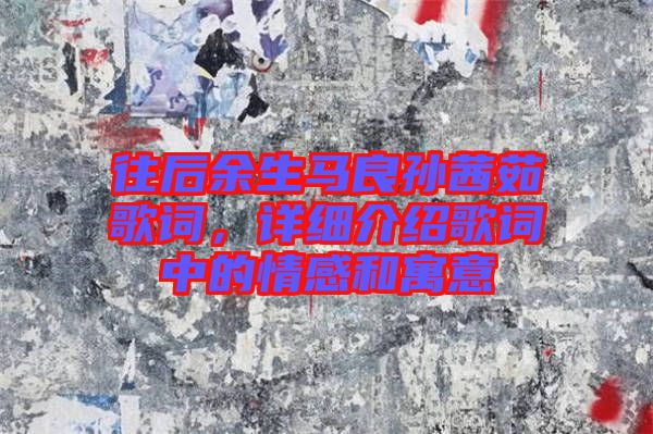 往后余生馬良孫茜茹歌詞，詳細介紹歌詞中的情感和寓意